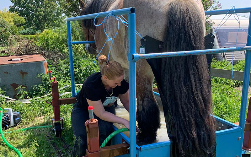 Ramona-paardenbehandeling-advies.jpg